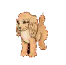 dog wagging tail