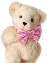 it's a girl teddy bear