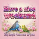 Have a nice weekend