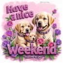 Have a nice weekend 
