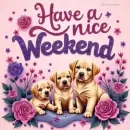Have a nice weekend 