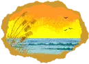 ocean view with birds