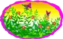 butterflies and flowers