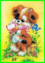puppy