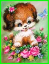 puppy