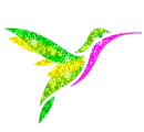 hummingbird