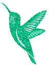 hummingbird