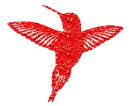 hummingbird