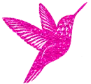 hummingbird