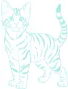 cat
