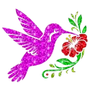 hummingbird
