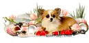Summer Beach Puppy Page Divider