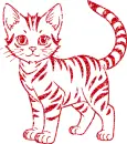 cat