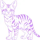 cat
