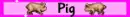 pig