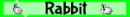 rabbit