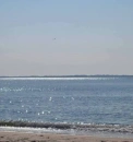 Laura's Ocean