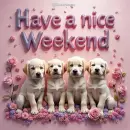 Happy weekend