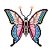 butterfly