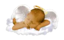cherub