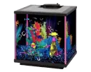 fish aquarium