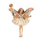 fairy