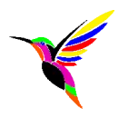 hummingbird