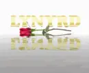 Lynyrd