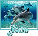 Joanie