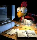 chicken