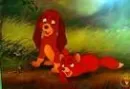 the fox and the hound