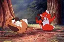 the fox and the hound