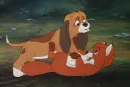 the fox and the hound