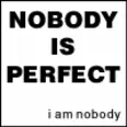 nobody is perfect