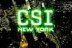 csi: new york green