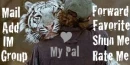 My Pal