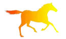 rainbow horse