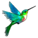 hummingbird