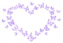 heart made of butterflies