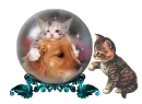 puppy and kitties snow globe