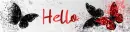 hello
