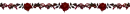 red roses