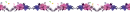 omnisexual flowers