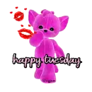 happy tuesday