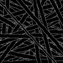 Fractures