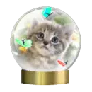 kitten snow globe