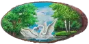 swans