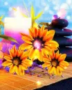 orange flowers