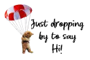 just dropping by to say hi