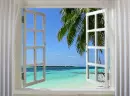 paradise